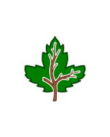 Logo de Carcinome Cholangio-Hépatocellulaire Canada (CCHC)